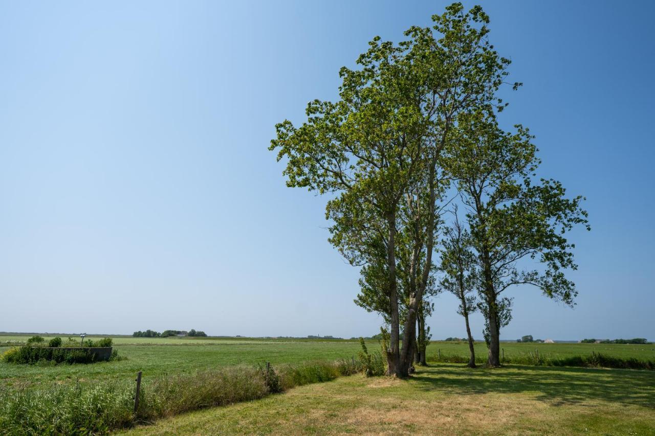 Johanneshoeve - De Mooiste Plek Op Texel Den Hoorn  Dış mekan fotoğraf