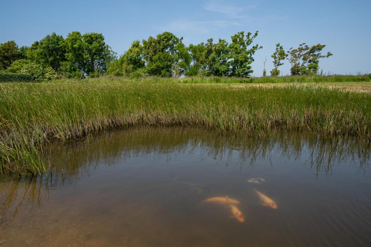 Johanneshoeve - De Mooiste Plek Op Texel Den Hoorn  Dış mekan fotoğraf